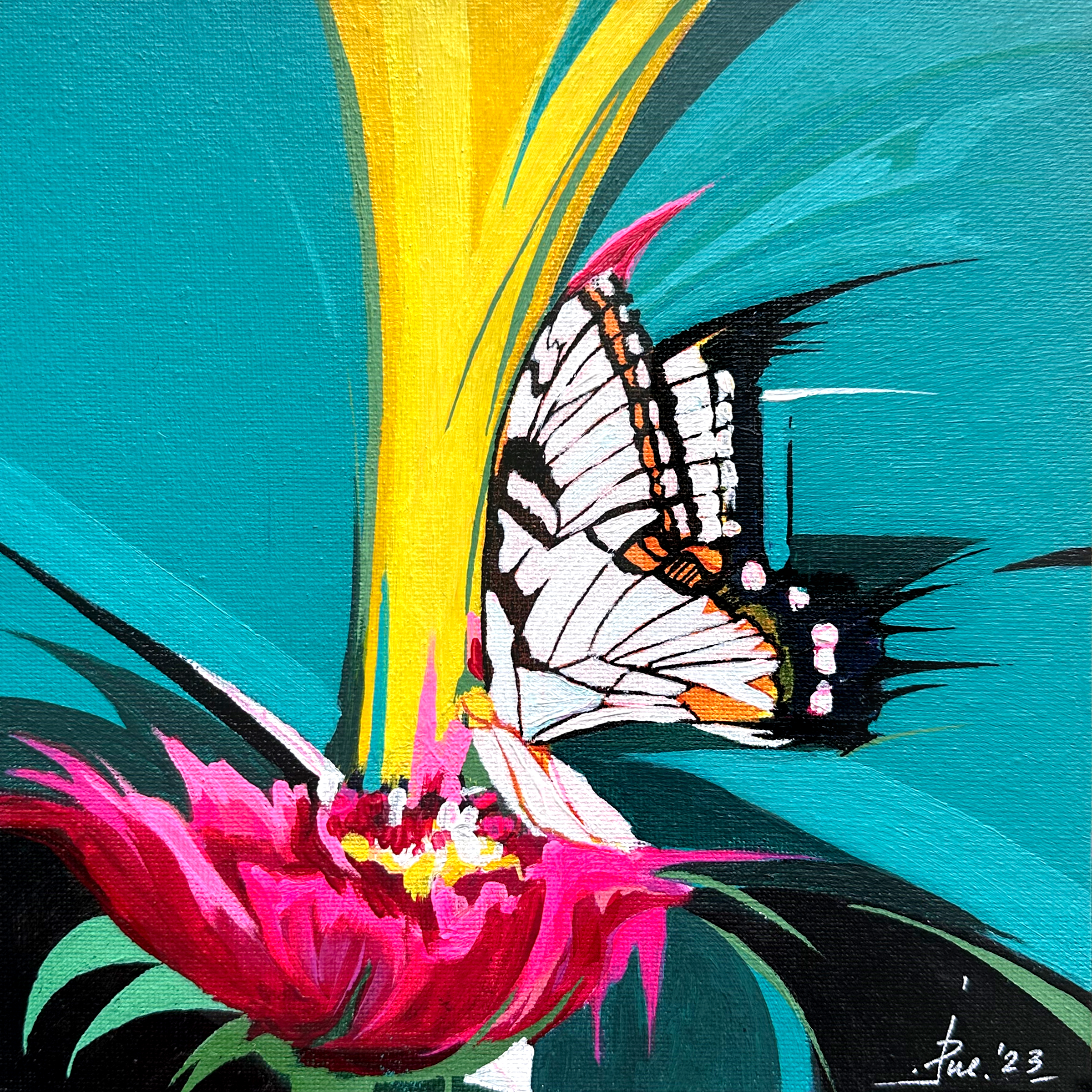 Butterfly